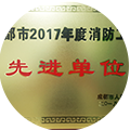 Chengdu 2017 Annual Advanced Unit for Fire Prevention